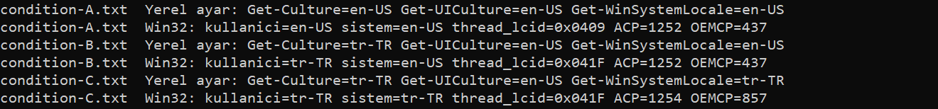 A en-US/en-US, B tr-TR/en-US, C tr-TR/tr-TR. Menünün UICulture değeri hep en-US. Kod sayfaları C'de 1254 ve 857.