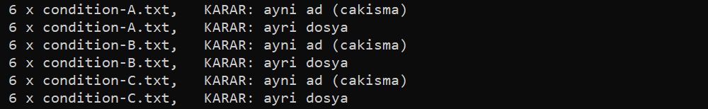Her koşul dosyasında altı aynı ad ve altı ayrı dosya kararı sayılıyor. Toplam 36 karar.